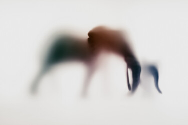 Photography titled "WILD LENS - ELEPHAN…" by Sven Pfrommer, Original Artwork, Analog Print Mounted on Aluminium