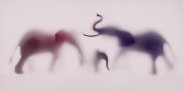 摄影 标题为“WILD LENS - ELEPHAN…” 由Sven Pfrommer, 原创艺术品, 模拟打印 安装在铝上