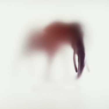 Photographie intitulée "WILD LENS - ELEPHAN…" par Sven Pfrommer, Œuvre d'art originale, Tirage argentique Monté sur Aluminium