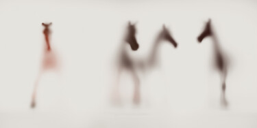 Fotografia intitolato "WILD LENS - HORSES I" da Sven Pfrommer, Opera d'arte originale, Stampa a pellicola Montato su Allumin…