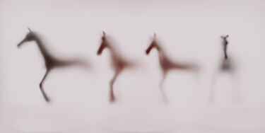 Photography titled "WILD LENS - HORSES…" by Sven Pfrommer, Original Artwork, Analog Print Mounted on Aluminium