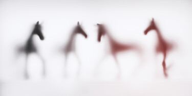 Фотография под названием "WILD LENS - HORSES…" - Sven Pfrommer, Подлинное произведение искусства, Аналоговая печать Установл…