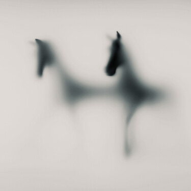 Photography titled "WILD LENS - HORSES…" by Sven Pfrommer, Original Artwork, Analog Print Mounted on Aluminium