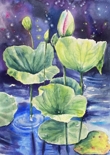 Painting titled "star and lotus" by Svetlana Adiyanova, Original Artwork, Watercolor