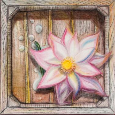 Schilderij getiteld "Lotus in a box. Лот…" door Svetlana Aleynikova, Origineel Kunstwerk, Conté Gemonteerd op Frame voor hou…