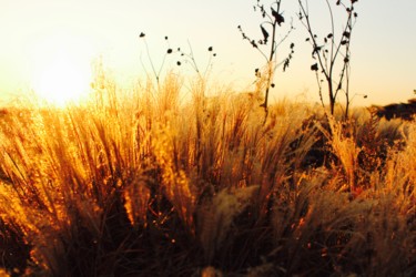 Фотография под названием "Sunset" - Sebrede, Подлинное произведение искусства, Цифровая фотография