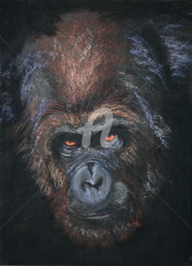 Σχέδιο με τίτλο "Gorilla" από Svetlana Samovarova (SA.LANA), Αυθεντικά έργα τέχνης, Παστέλ