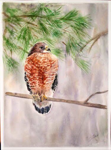 Painting titled "Falcon" by Svetlana Samovarova (SA.LANA), Original Artwork, Watercolor