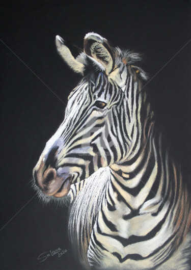 Dessin intitulée "Zebra" par Svetlana Samovarova (SA.LANA), Œuvre d'art originale, Pastel