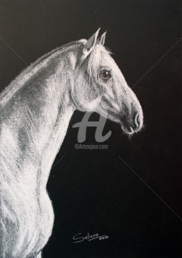 Dessin intitulée "HORSE V" par Svetlana Samovarova (SA.LANA), Œuvre d'art originale, Crayon