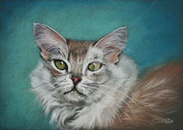 Рисунок под названием "PORTRAIT OF CAT I" - Svetlana Samovarova (SA.LANA), Подлинное произведение искусства, Пастель