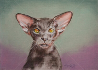 Drawing titled "PORTRAIT OF CAT II" by Svetlana Samovarova (SA.LANA), Original Artwork, Pastel