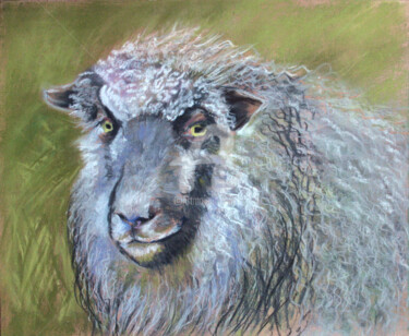 Dessin intitulée "SHEEP..." par Svetlana Samovarova (SA.LANA), Œuvre d'art originale, Pastel