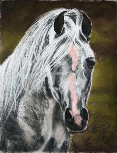 Tekening getiteld "HORSE... PORTRAIT I" door Svetlana Samovarova (SA.LANA), Origineel Kunstwerk, Pastel