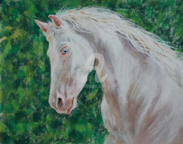 Tekening getiteld "HORSE... PORTRAIT I…" door Svetlana Samovarova (SA.LANA), Origineel Kunstwerk, Pastel