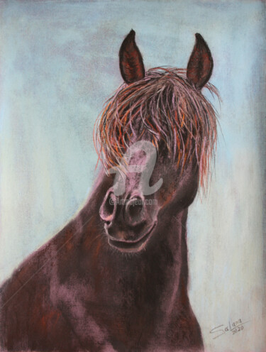 Dessin intitulée "HORSE... PORTRAIT V" par Svetlana Samovarova (SA.LANA), Œuvre d'art originale, Pastel