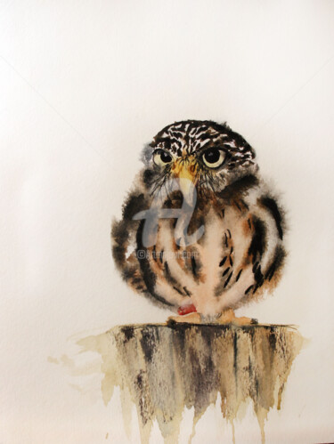 Desenho intitulada "Baby Owl" por Svetlana Samovarova (SA.LANA), Obras de arte originais, Aquarela