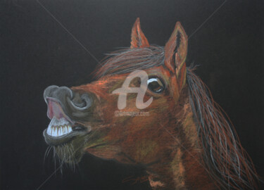 Painting titled "HORSE IV" by Svetlana Samovarova (SA.LANA), Original Artwork, Pencil