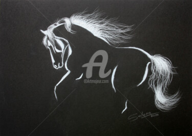 Schilderij getiteld "HORSE III" door Svetlana Samovarova (SA.LANA), Origineel Kunstwerk, Potlood
