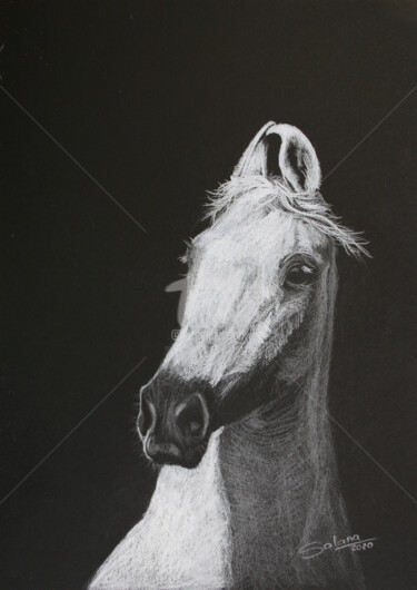 Pintura intitulada "HORSE II" por Svetlana Samovarova (SA.LANA), Obras de arte originais, Lápis