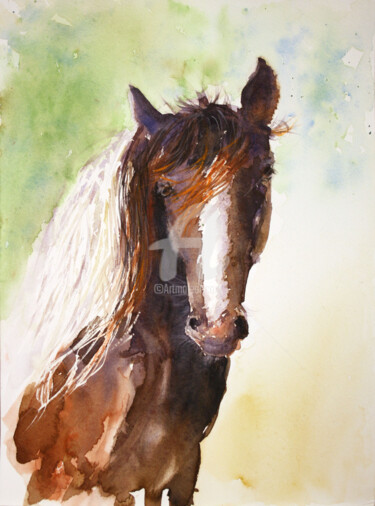 Peinture intitulée "HORSE V"" par Svetlana Samovarova (SA.LANA), Œuvre d'art originale, Aquarelle
