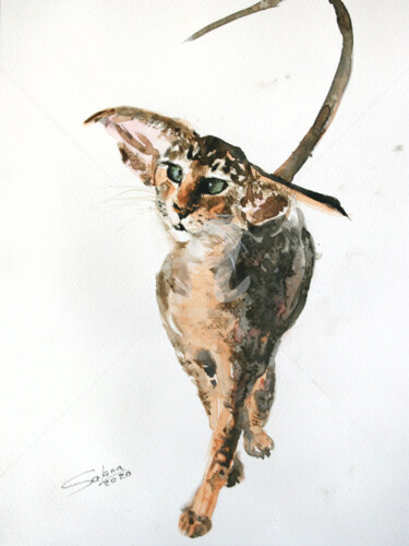 Картина под названием "CAT I - PET PORTRAIT" - Svetlana Samovarova (SA.LANA), Подлинное произведение искусства, Акварель