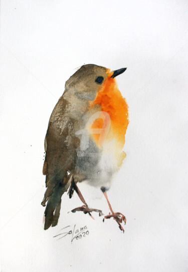 Painting titled "ROBIN II" by Svetlana Samovarova (SA.LANA), Original Artwork, Watercolor