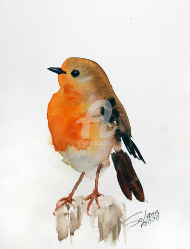 Painting titled "ROBIN IV" by Svetlana Samovarova (SA.LANA), Original Artwork, Watercolor