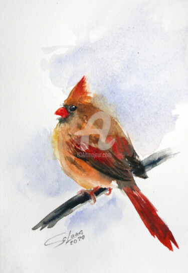 Schilderij getiteld "CARDINAL I" door Svetlana Samovarova (SA.LANA), Origineel Kunstwerk, Aquarel