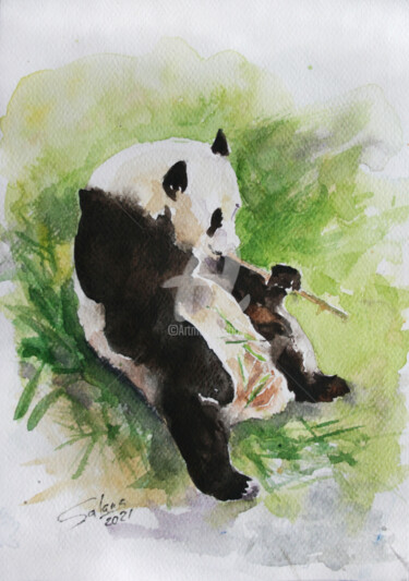 Картина под названием "Panda II" - Svetlana Samovarova (SA.LANA), Подлинное произведение искусства, Акварель