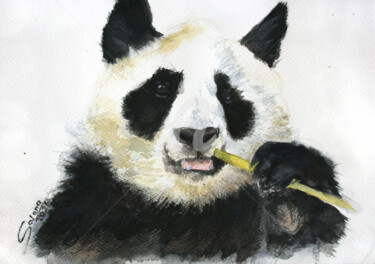Картина под названием "Panda III" - Svetlana Samovarova (SA.LANA), Подлинное произведение искусства, Акварель