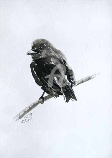 Рисунок под названием "BIRD III / Ink" - Svetlana Samovarova (SA.LANA), Подлинное произведение искусства, Чернила