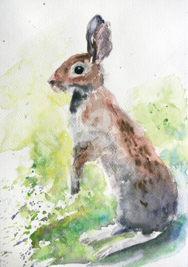 Painting titled "Rabbit I" by Svetlana Samovarova (SA.LANA), Original Artwork, Watercolor