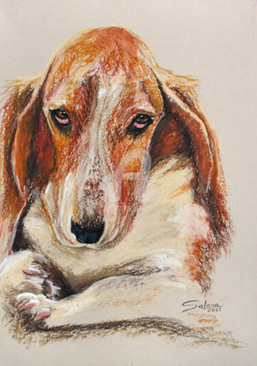 Disegno intitolato "DOG I... BASSET HOU…" da Svetlana Samovarova (SA.LANA), Opera d'arte originale, Pastello