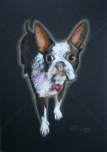 Drawing titled "DOG II... FRENCH BU…" by Svetlana Samovarova (SA.LANA), Original Artwork, Oil