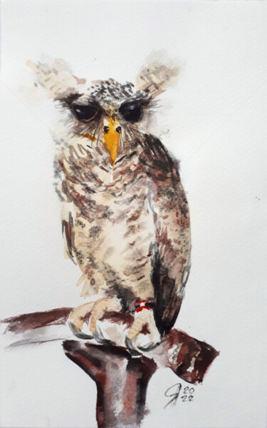 Картина под названием "OWL I" - Svetlana Samovarova (SA.LANA), Подлинное произведение искусства, Акварель