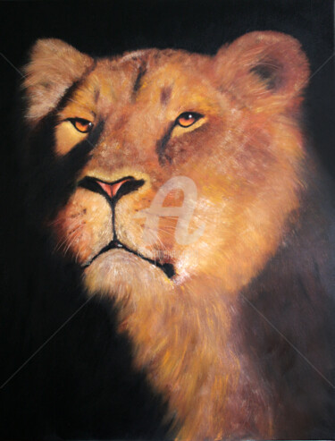 Painting titled "Young lioness" by Svetlana Samovarova (SA.LANA), Original Artwork, Oil