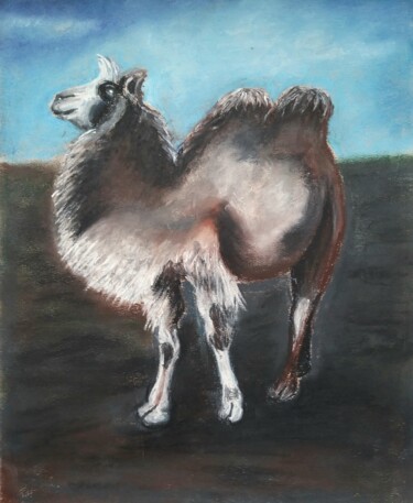 Peinture intitulée "Camel Romeo. Altai." par Svetlana Samsonova, Œuvre d'art originale, Pastel