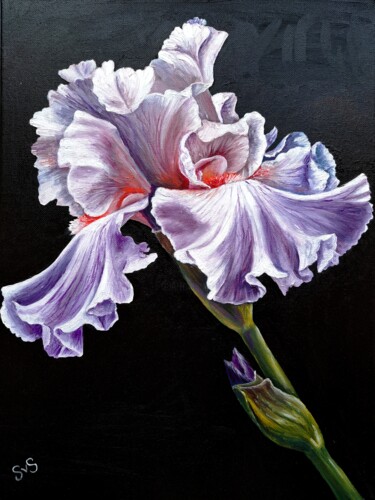 Malarstwo zatytułowany „Iris on a black bac…” autorstwa Svetlana Samsonova, Oryginalna praca, Olej