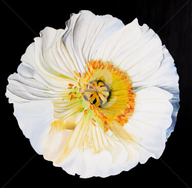 Malerei mit dem Titel "White poppy on a bl…" von Svetlana Saratova, Original-Kunstwerk, Acryl