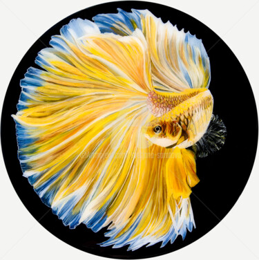 Pittura intitolato "Goldfish" da Svetlana Saratova, Opera d'arte originale, Acrilico