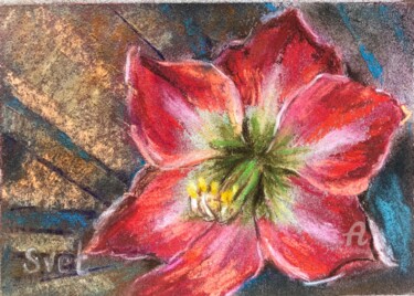 Painting titled "Amaryllis" by Svet Schiel Gallery, Original Artwork, Pastel