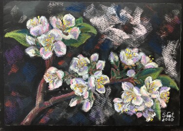 Painting titled "Blooming cherry" by Svet Schiel Gallery, Original Artwork, Pastel