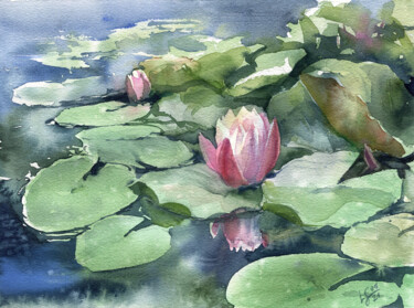 Картина под названием "Waterlilies in a po…" - Svitlana Lagutina, Подлинное произведение искусства, Акварель