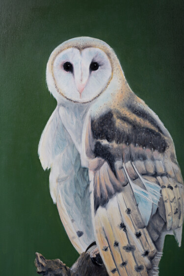 Painting titled "Owl" by Svitlana Miku, Original Artwork, Oil