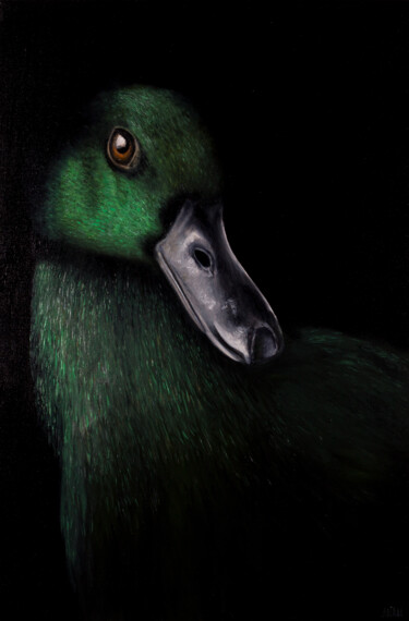 Painting titled "Wild duck" by Svitlana Miku, Original Artwork, Oil