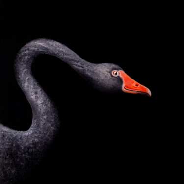 Black Swan Картина под названием "Black Swan" - Svitlana Miku, Подлинное произведение искусства, Масло