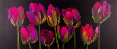 Schilderij getiteld "Tulips on black bac…" door Svitlana Miku, Origineel Kunstwerk, Olie