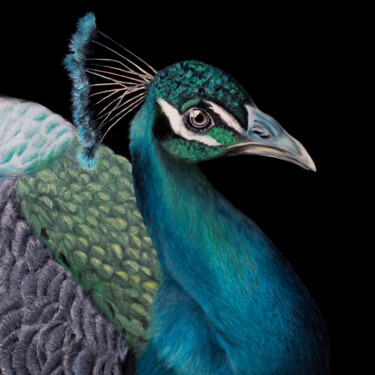 Peafowl Картина под названием "Peafowl" - Svitlana Miku, Подлинное произведение искусства, Масло