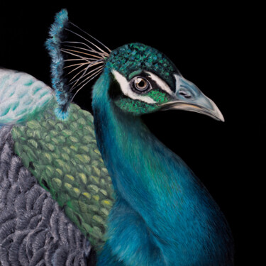 Pintura intitulada "Peafowl" por Svitlana Miku, Obras de arte originais, Óleo